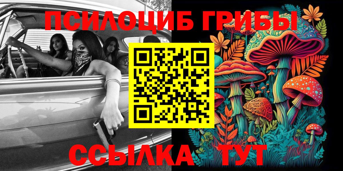 Галлюциногенные грибы Psilocybe Учалы
